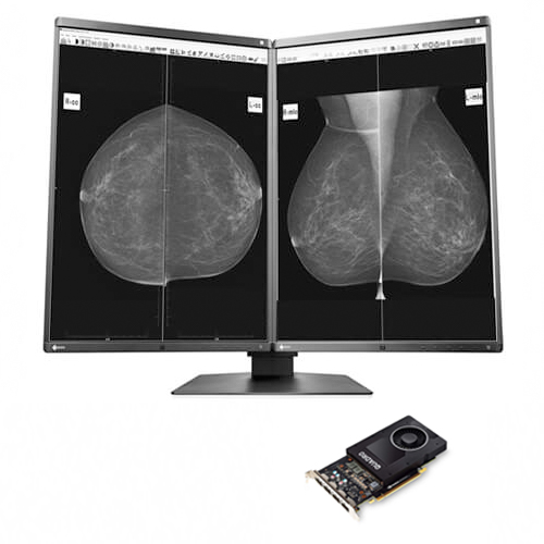 Eizo RX560 5MP Dual Head Color Mammography LCD Monitor