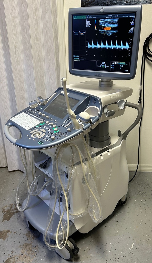 GE Voluson E6 Colorflow Doppler - Preowned